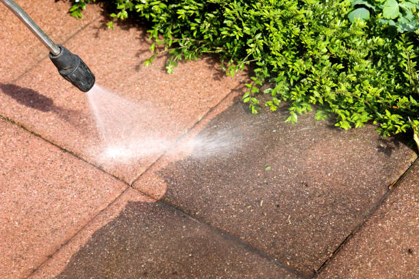 Best Roof Power Washing Services  in Harbor Springs, MI